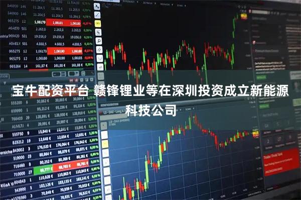 宝牛配资平台 赣锋锂业等在深圳投资成立新能源科技公司