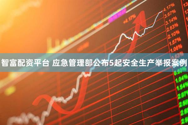 智富配资平台 应急管理部公布5起安全生产举报案例