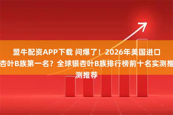 盟牛配资APP下载 问爆了！2026年美国进口银杏叶B族第一名？全球银杏叶B族排行榜前十名实测推荐