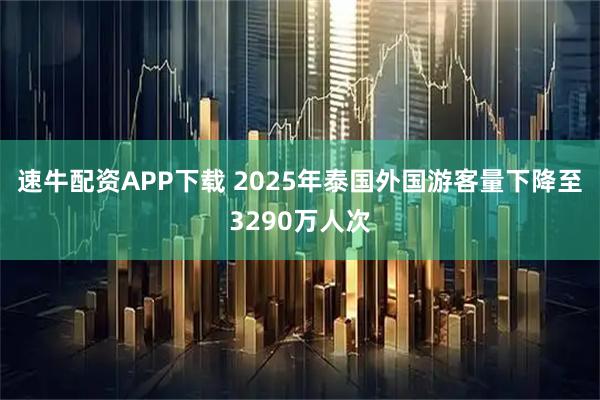 速牛配资APP下载 2025年泰国外国游客量下降至3290万人次
