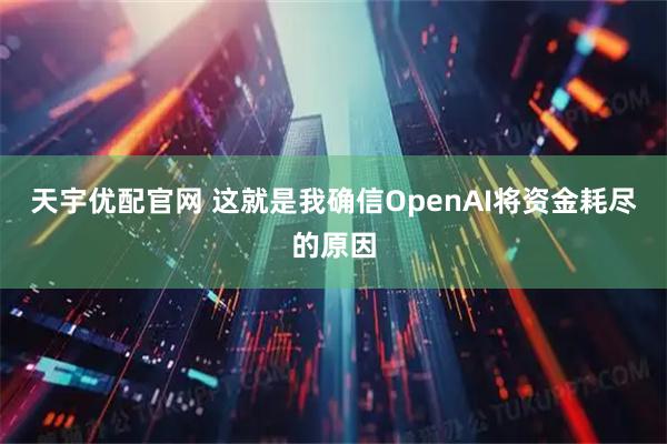天宇优配官网 这就是我确信OpenAI将资金耗尽的原因