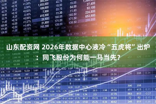 山东配资网 2026年数据中心液冷“五虎将”出炉：同飞股份为何能一马当先？