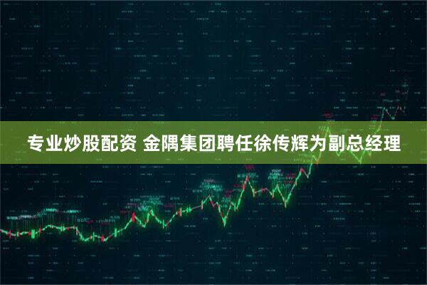 专业炒股配资 金隅集团聘任徐传辉为副总经理